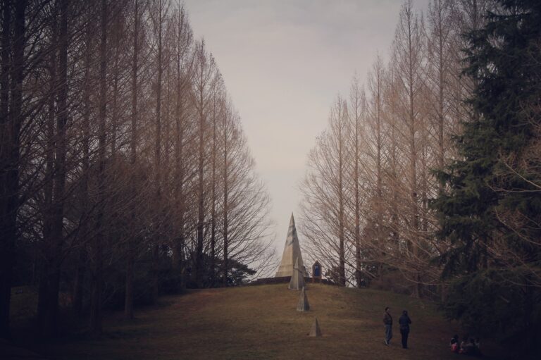 國營昭和紀念公園