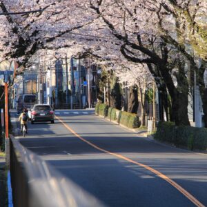 三鷹吉祥寺